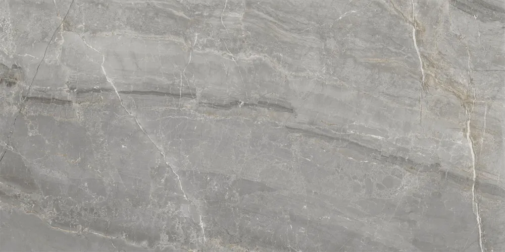 Arpa TOPSTONE Zilver glans 60X120cm ( ARPTOPSS6012GR ) Veilige Betaling