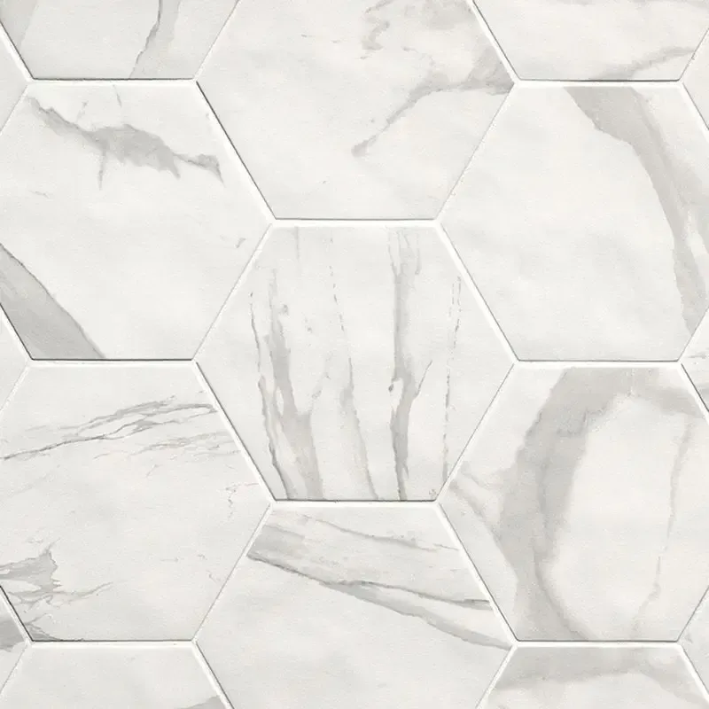 Alleen Vandaag Hexagon Roma Statuario mat 21,6x25