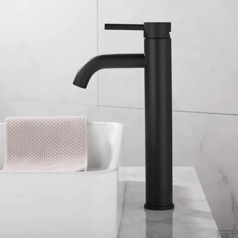 Koopje Wastafelkraan BWS Plus 30.5 cm Mat Zwart