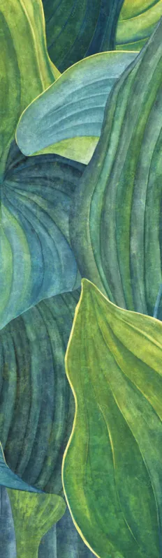 Shop Nu Khroma by Masureel Wall Designs II DG2HOS1011 Hosta Aqua Behang